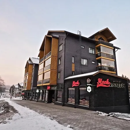 Levillas Levin Kunkku * Levi