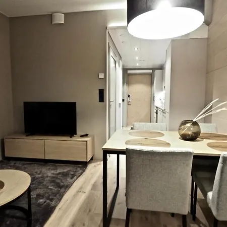 Levillas Levin Kunkku 아파트 *