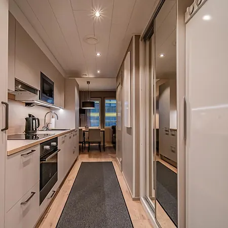 Levillas Levin Kunkku Levi